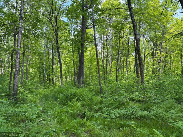 30494 110th Pl, Sturgeon Lake, MN 55783