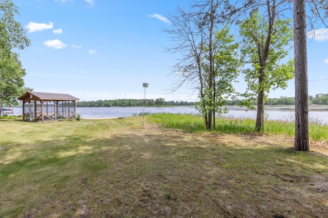 8996 Little Pelican Dr, Pelican Twp, MN 56472 - view of yard with a water view