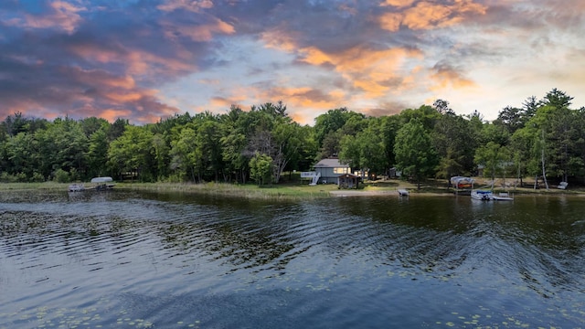 8996 Little Pelican Dr, Pelican Twp, MN 56472 - water view featuring a forest