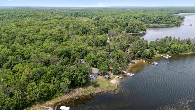 8996 Little Pelican Dr, Pelican Twp, MN 56472 - view of property location featuring a forest and a large body of water