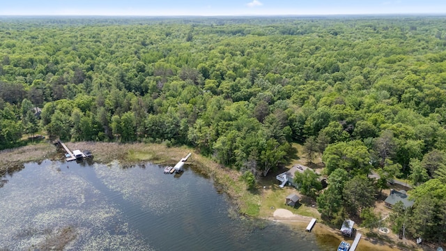 8996 Little Pelican Dr, Pelican Twp, MN 56472 - view of property location featuring a heavily wooded area and a nearby body of water