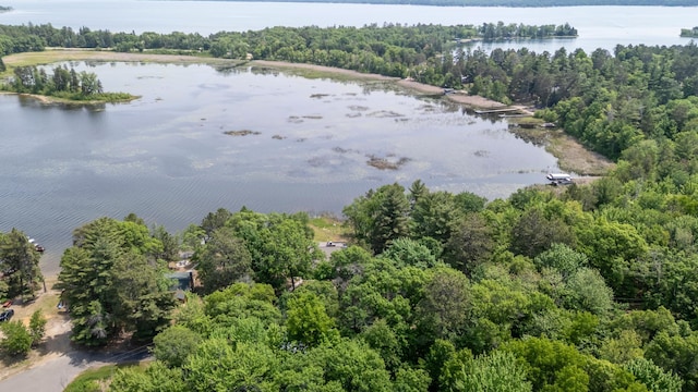 8996 Little Pelican Dr, Pelican Twp, MN 56472 - bird's eye view of a nearby body of water and a forest