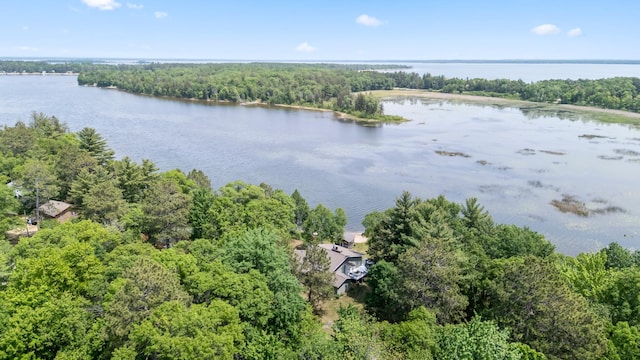 8996 Little Pelican Dr, Pelican Twp, MN 56472 - aerial view of a large body of water and a forest