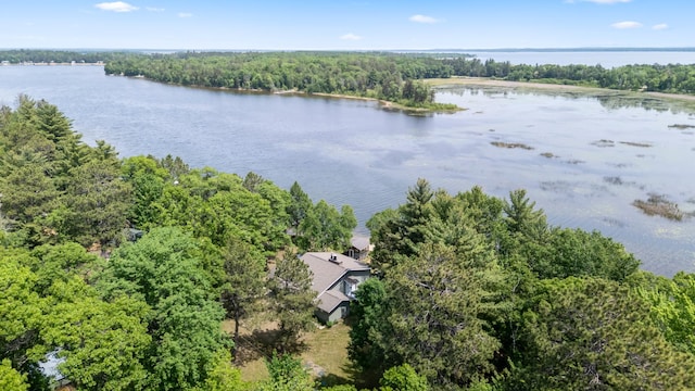 8996 Little Pelican Dr, Pelican Twp, MN 56472 - drone / aerial view of a nearby body of water and a forest