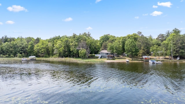 8996 Little Pelican Dr, Pelican Twp, MN 56472 - water view featuring a forest