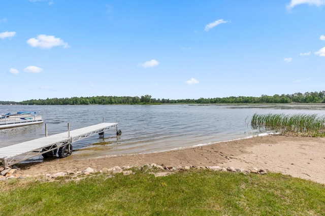8996 Little Pelican Dr, Pelican Twp, MN 56472 - dock with a water view