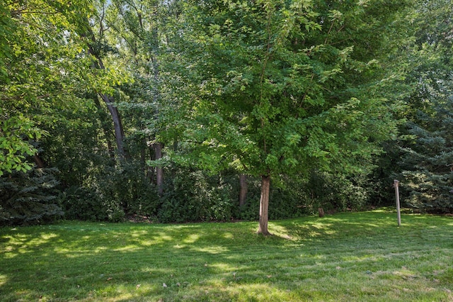 16091 Highwood Dr, Minnetonka, MN 55345 - photo 43