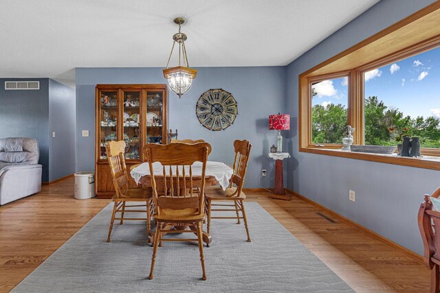 14718 Shieldsville Blvd, Faribault, MN 55021 - photo 4