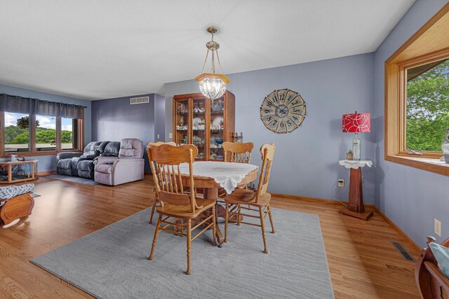 14718 Shieldsville Blvd, Faribault, MN 55021 - photo 39