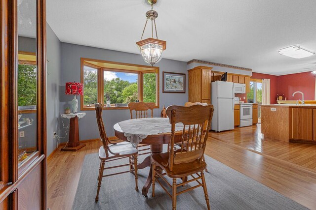 14718 Shieldsville Blvd, Faribault, MN 55021 - photo 40