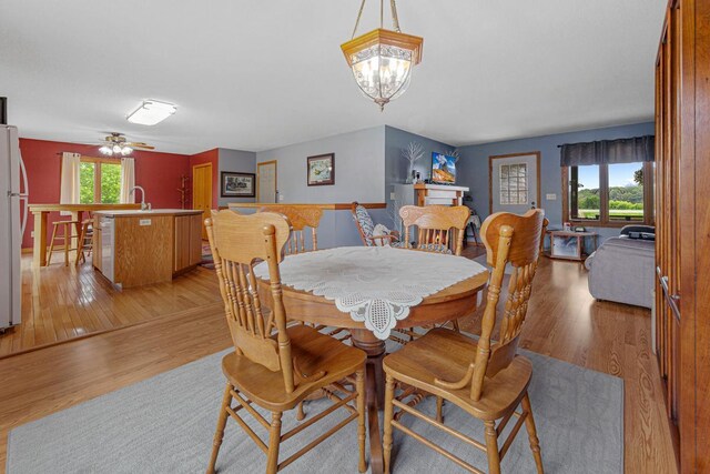 14718 Shieldsville Blvd, Faribault, MN 55021 - photo 41