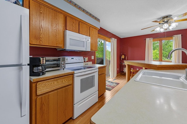 14718 Shieldsville Blvd, Faribault, MN 55021 - photo 46