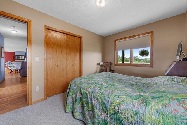 14718 Shieldsville Blvd, Faribault, MN 55021 - photo 57