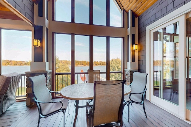 9328 Rhoy Ave, Chaska, MN 55318 - sunroom with a water view, healthy amount of natural light, and lofted ceiling