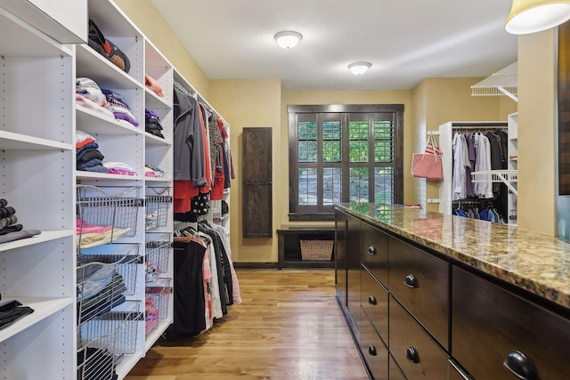 9328 Rhoy Ave, Chaska, MN 55318 - walk in closet with light wood-style flooring