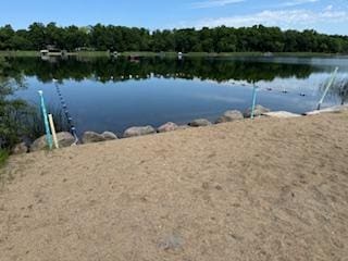2221 Reubens Ln SW Unit 29, Farwell, MN 56327 - photo 9