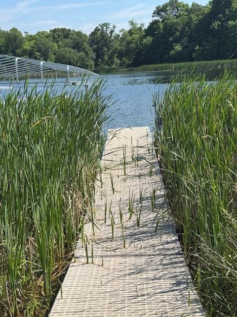 2221 Reubens Ln SW Unit 29, Farwell, MN 56327 - photo 29