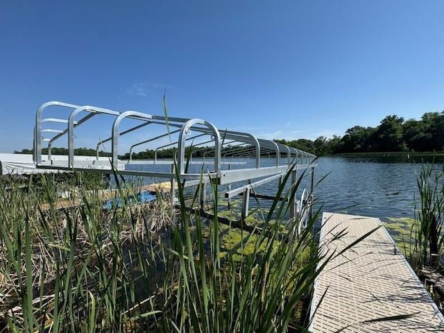 2221 Reubens Ln SW Unit 29, Farwell, MN 56327 - photo 32