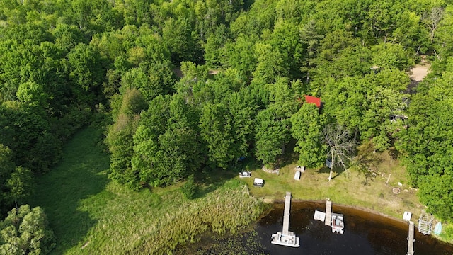 256 22 5/8 Ave, Crystal Lake Twp, WI 54829 - aerial view of property and surrounding area with a nearby body of water and a heavily wooded area