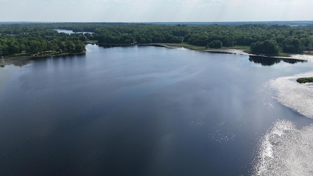 256 22 5/8 Ave, Crystal Lake Twp, WI 54829 - drone / aerial view of a heavily wooded area and a nearby body of water