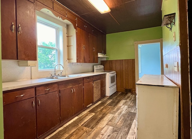 406 1st St S, Hoffman, MN 56339 - kitchen with white range with electric stovetop, dark wood finished floors, a sink, light countertops, and a wainscoted wall