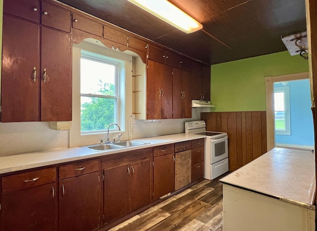406 1st St S, Hoffman, MN 56339 - kitchen with white electric stove, a sink, dark wood finished floors, under cabinet range hood, and healthy amount of natural light