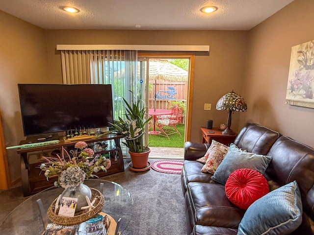 922 Whiskey Rd NW, Isanti, MN 55040 - carpeted living room featuring a textured ceiling