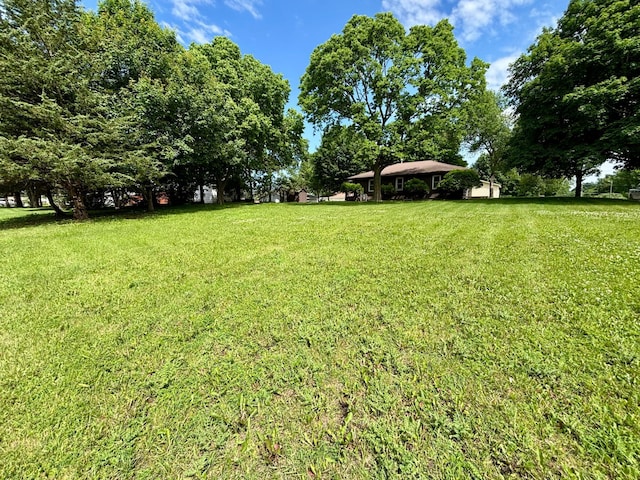 1116 Whitford St, Fergus Falls, MN 56537 - view of grassy yard