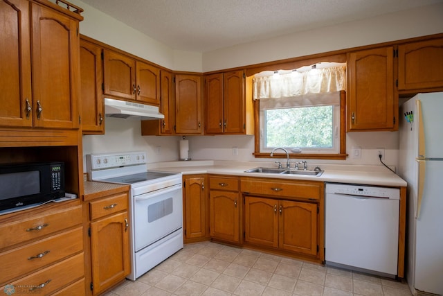 5555 167th Ave SE, Walcott, ND 58051 - kitchen with white appliances, a sink, under cabinet range hood, brown cabinetry, and light countertops