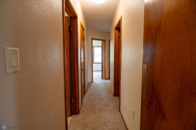 5555 167th Ave SE, Walcott, ND 58051 - hallway featuring light colored carpet and a textured wall
