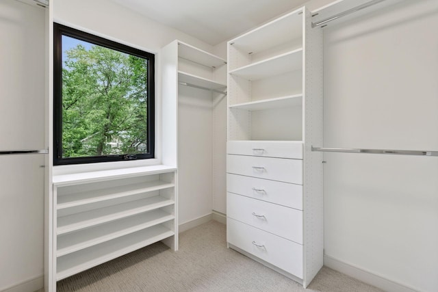 6608 Pawnee Rd, Edina, MN 55439 - spacious closet with light carpet