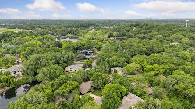 6608 Pawnee Rd, Edina, MN 55439 - bird's eye view of a forest and a large body of water