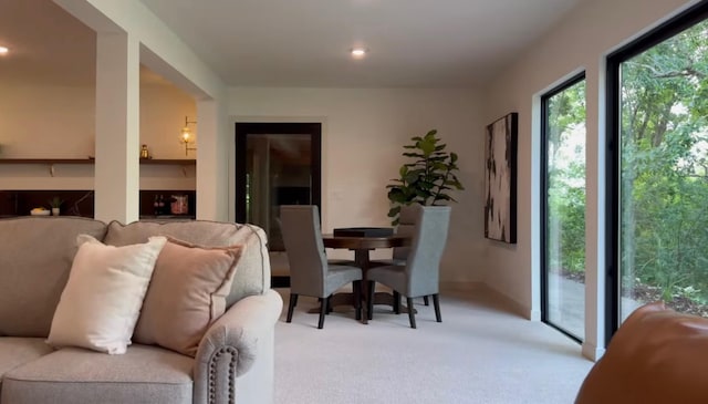 6608 Pawnee Rd, Edina, MN 55439 - living area featuring light carpet and recessed lighting