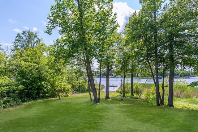 19923 See Gull Rd, Brainerd, MN 56401 - view of green lawn with a water view
