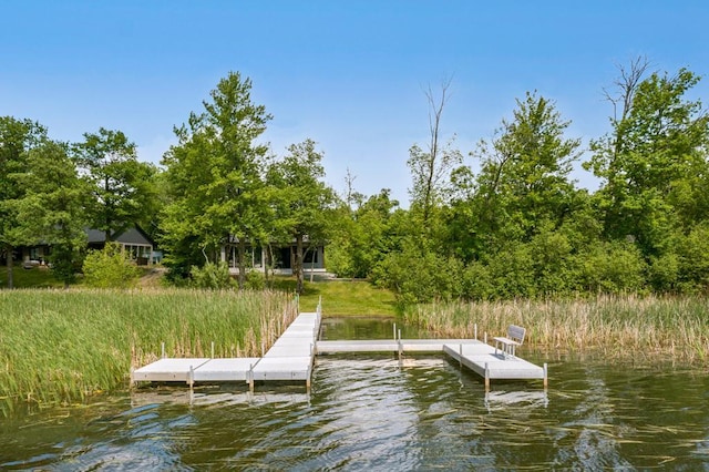19923 See Gull Rd, Brainerd, MN 56401 - dock area with a water view