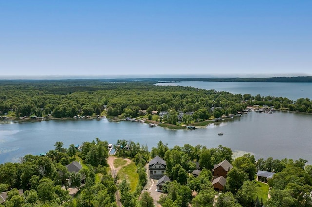 19923 See Gull Rd, Brainerd, MN 56401 - aerial view of a forest and a nearby body of water