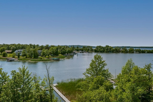 19923 See Gull Rd, Brainerd, MN 56401 - water view