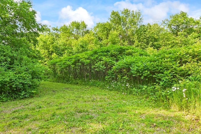 7458 39th Ave NW, Alexandria, MN 56332 - photo 64