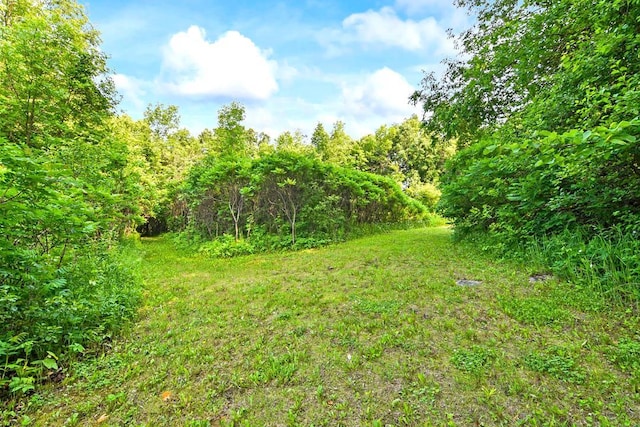 7458 39th Ave NW, Alexandria, MN 56332 - photo 65