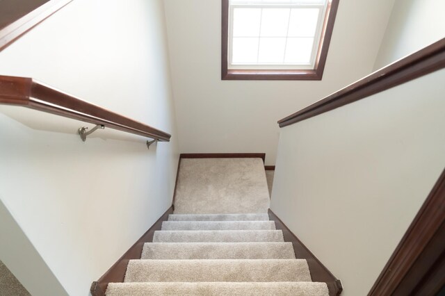 9896 Pincherry Ln, Eden Prairie, MN 55347 - photo 24