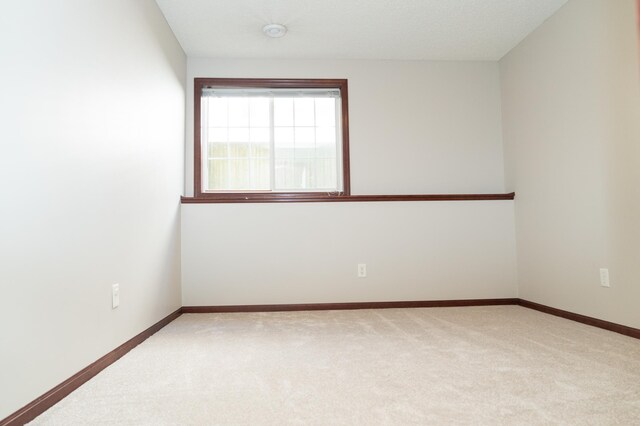 9896 Pincherry Ln, Eden Prairie, MN 55347 - photo 50