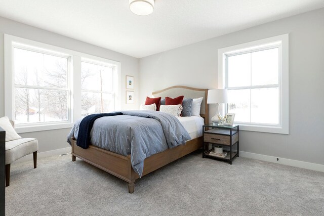 6501 Timber Arch Dr, Chaska, MN 55318 - bedroom with multiple windows, carpet, and baseboards