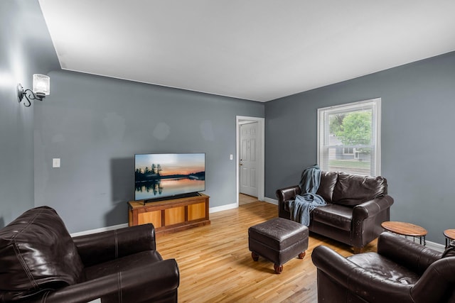 2800 Alabama Ave S, Saint Louis Park, MN 55416 - living room with light wood-style flooring and baseboards