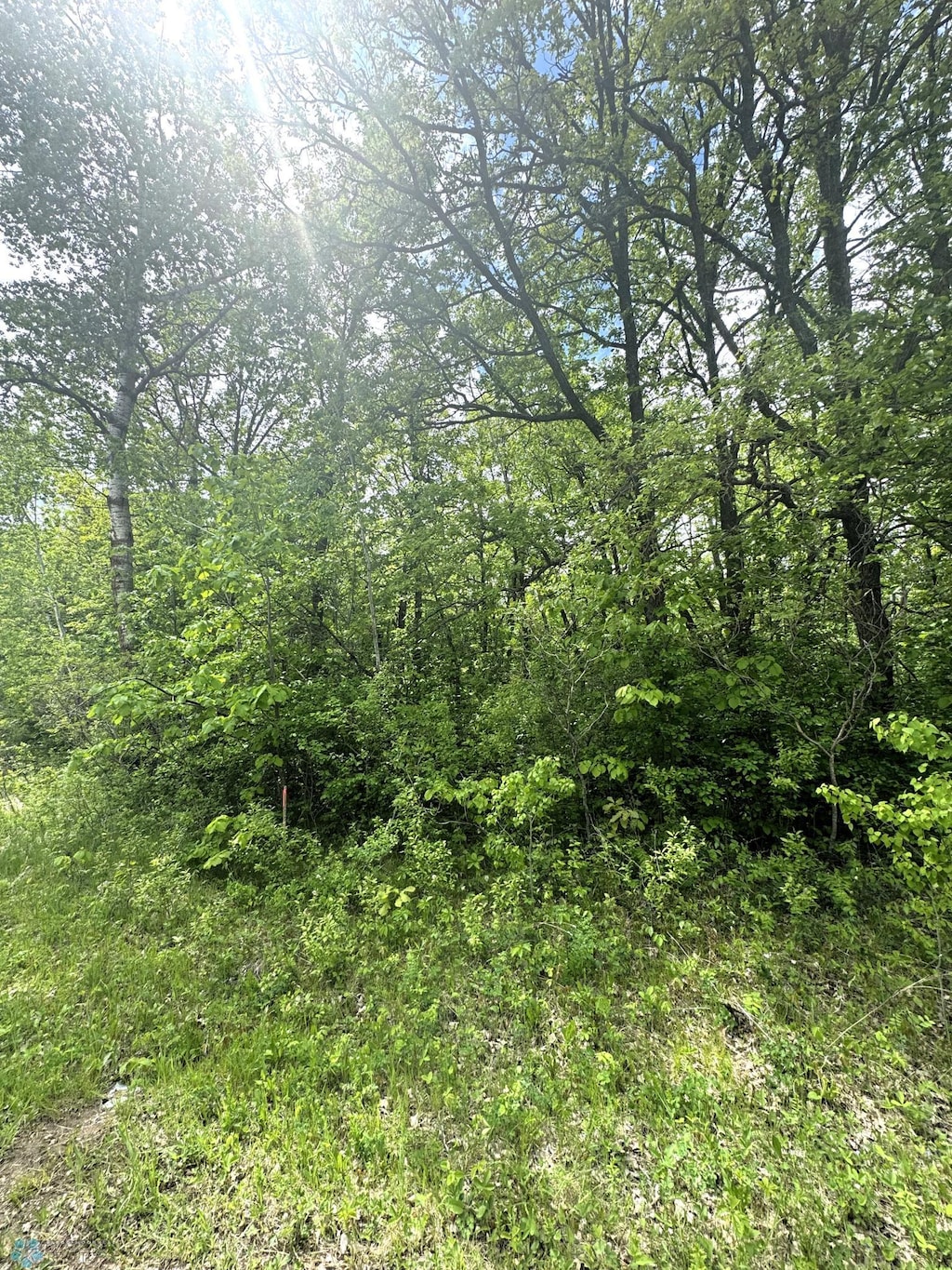 LOT6 Tbd Ln, Little Elbow Twp, MN 56589