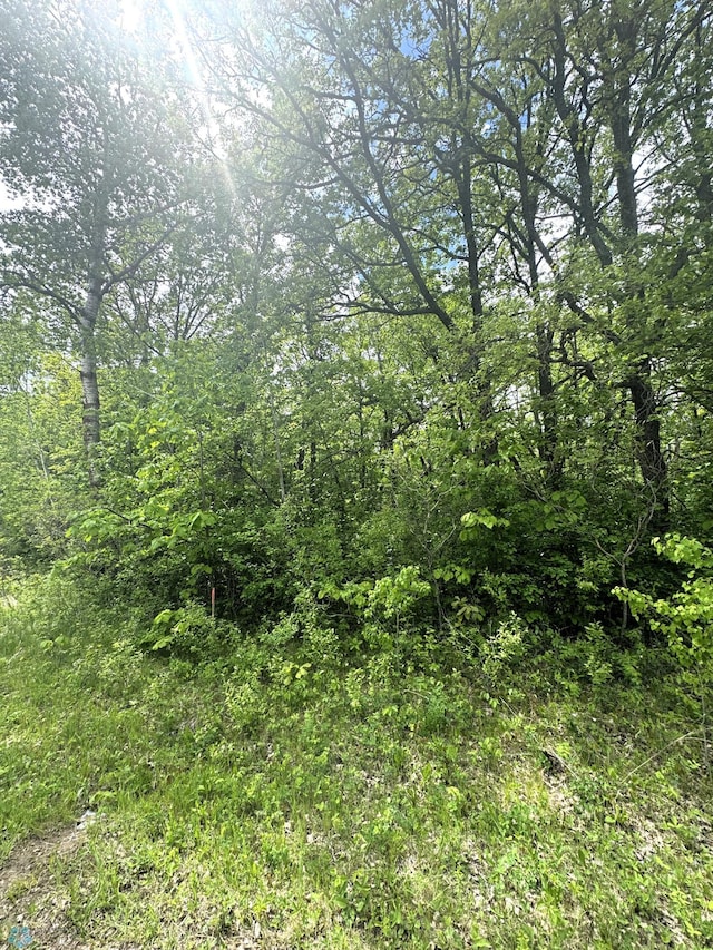 LOT6 Tbd Ln, Little Elbow Twp, MN 56589