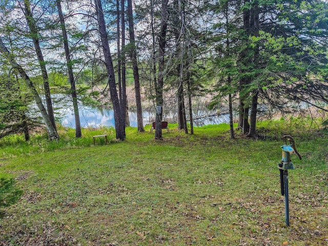 11684 150th St, Park Rapids, MN 56470