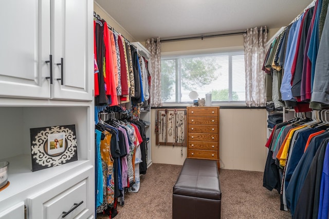 701 Mill St, Fertile, MN 56540 - walk in closet with carpet flooring