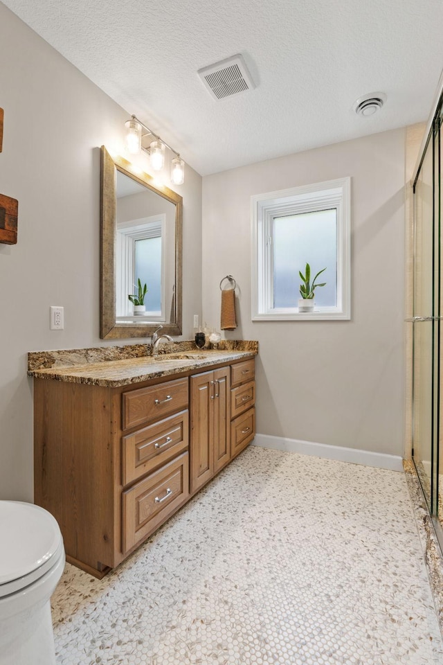 6141 Sherman Cir, Edina, MN 55436 - bathroom featuring a shower with door, vanity, plenty of natural light, and a textured ceiling