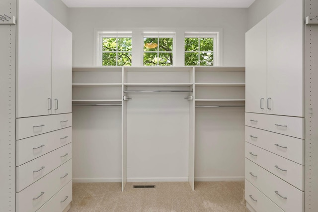 1540 Waterford Ct, Golden Valley, MN 55422 - walk in closet with light colored carpet