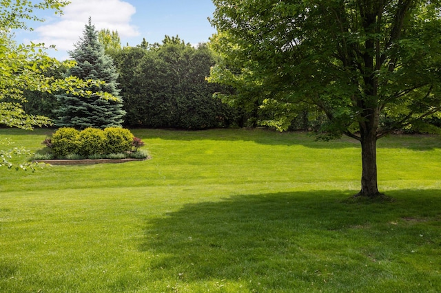 1540 Waterford Ct, Golden Valley, MN 55422 - view of green lawn